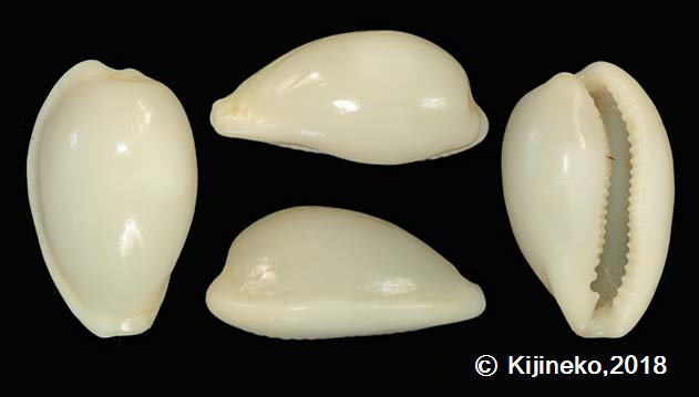 gallaryx094001.jpg